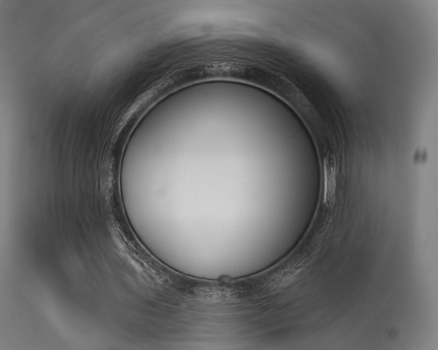 X0000113360435200909221203