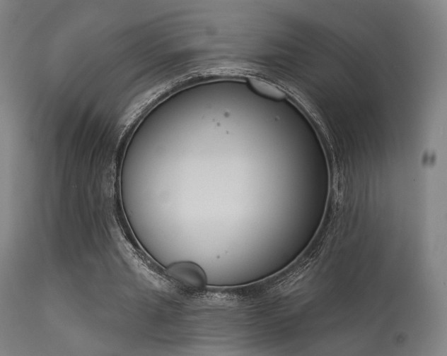 X0000113360437200909221203