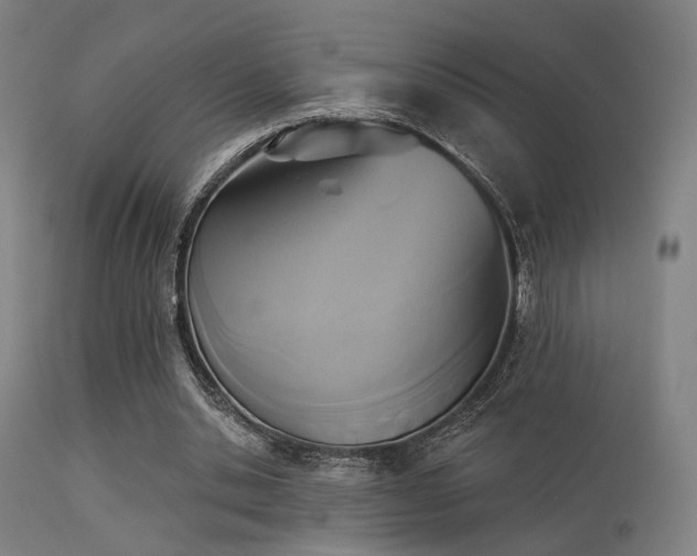 X0000113360438200909221203
