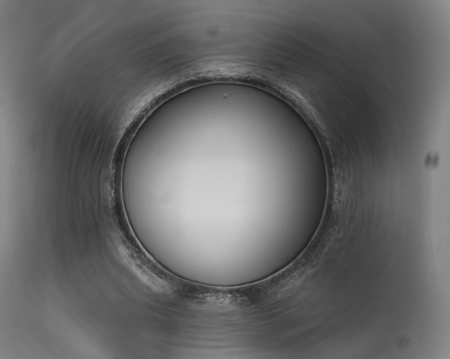 X0000113360439200909221203