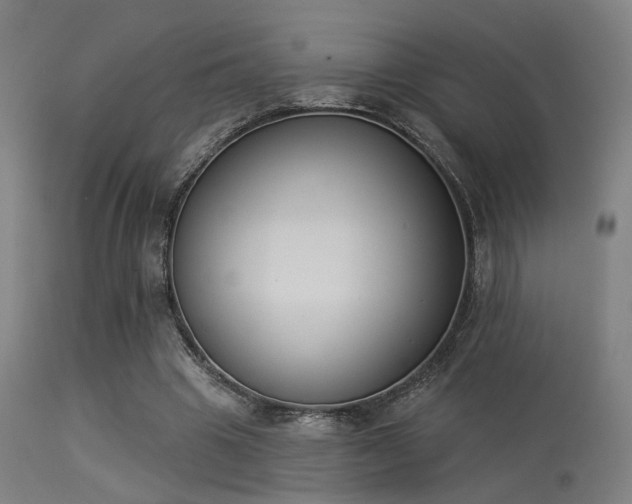 X0000113360441200909221203