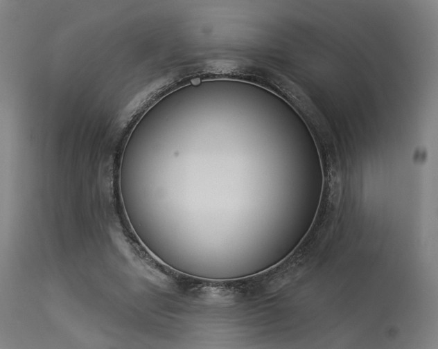 X0000113360442200909221203