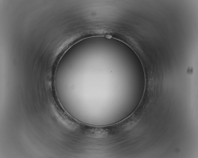 X0000113360443200909221203