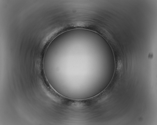 X0000113360444200909221203