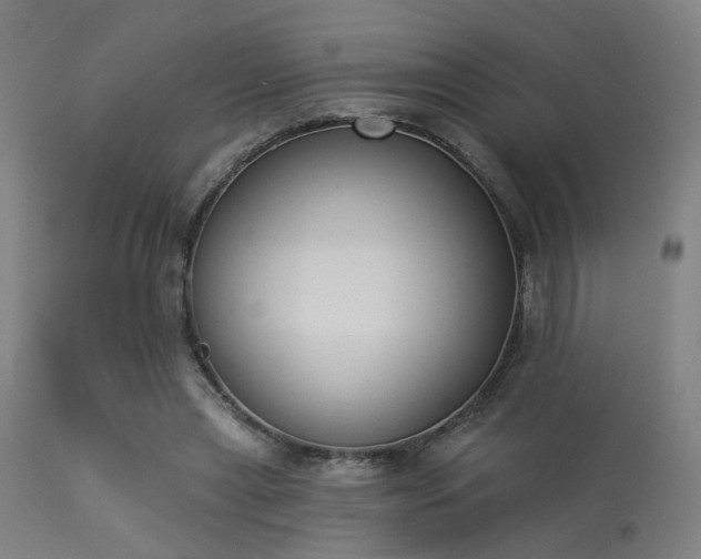 X0000113360445200909221203