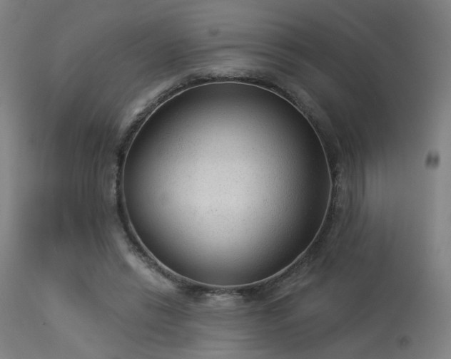 X0000113360446200909221203