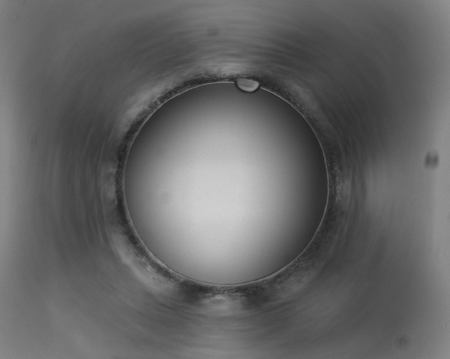 X0000113360447200909221203