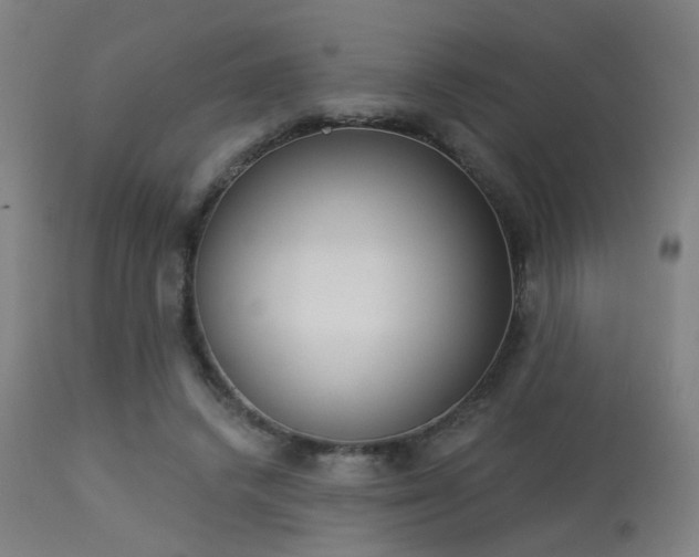 X0000113360448200909221203
