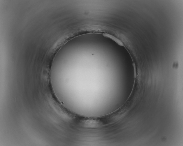 X0000113360449200909221203