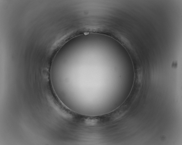 X0000113360450200909221203