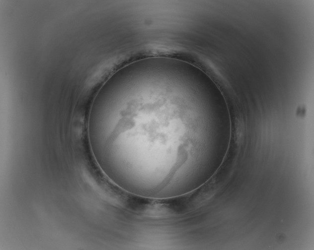 X0000113360451200909221203