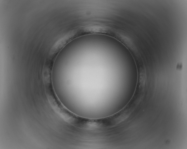 X0000113360453200909221203