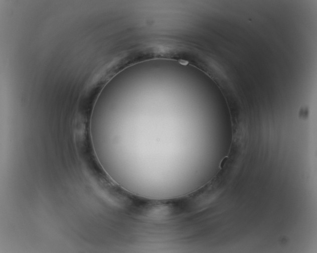 X0000113360456200909221203