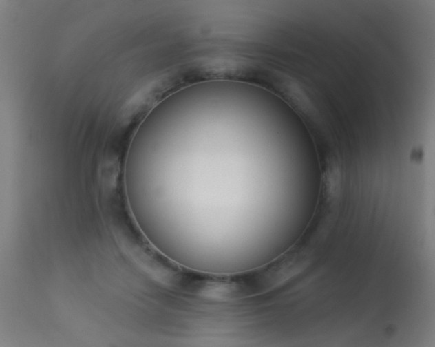 X0000113360458200909221203