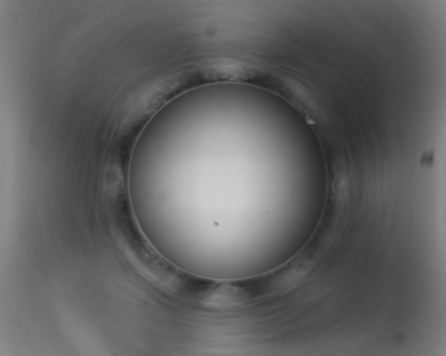 X0000113360459200909221203