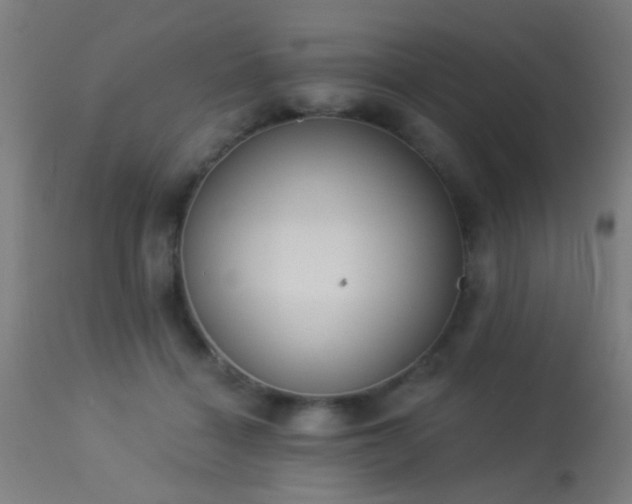 X0000113360460200909221203