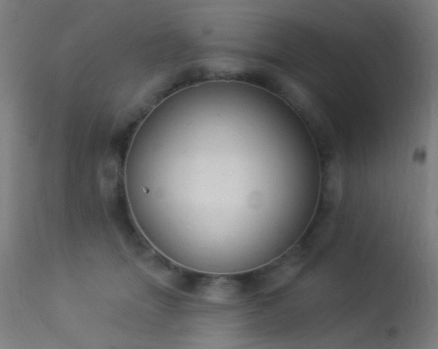 X0000113360463200909221203