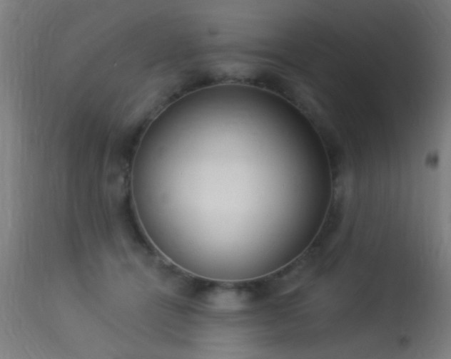X0000113360464200909221203