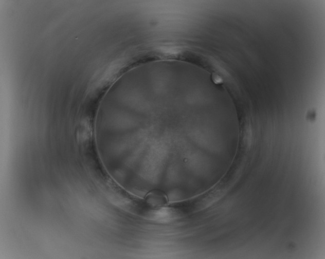 X0000113360467200909221203