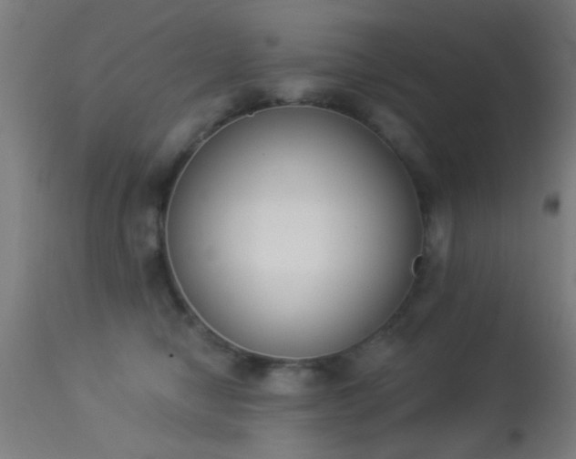 X0000113360470200909221203