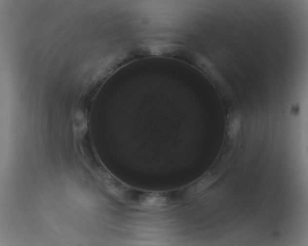 X0000113360471200909221203