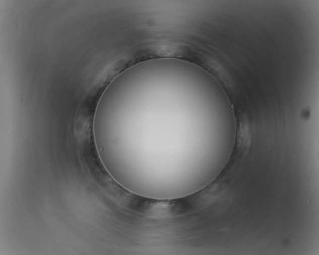 X0000113360473200909221203