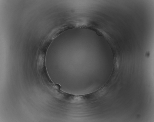 X0000113360475200909221203