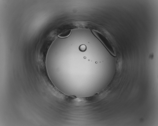 X0000113360477200909221203