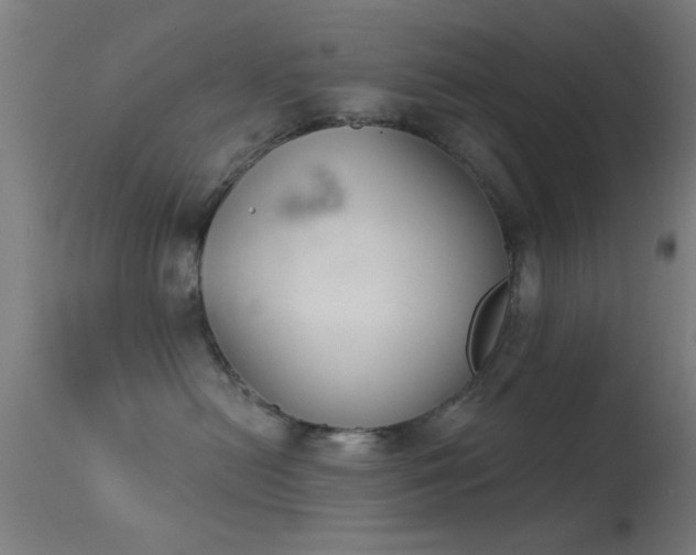 X0000113360478200909221203