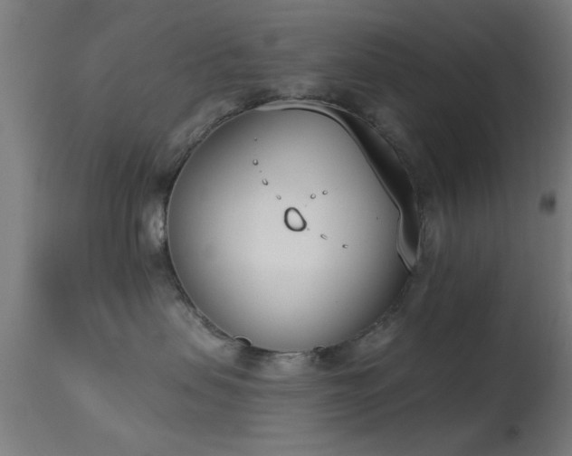X0000113360479200909221203