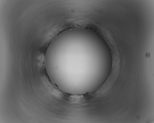X0000113360480200909221203