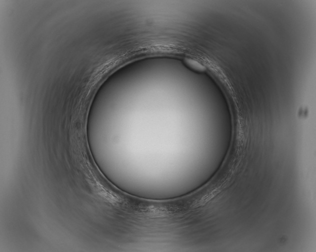 X0000113360481200909221203