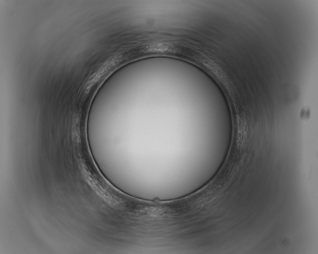 X0000113360482200909221203