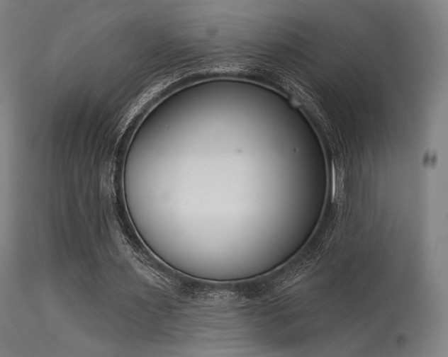 X0000113360483200909221203