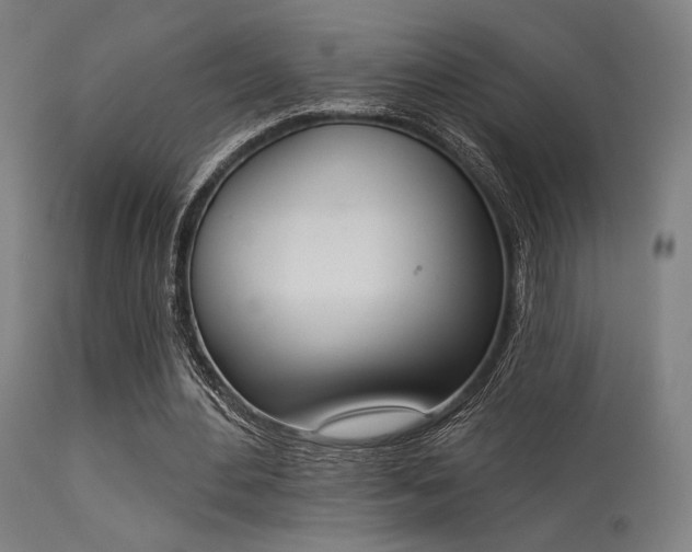 X0000113360484200909221203