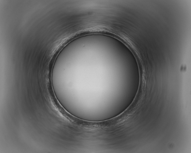 X0000113360485200909221203
