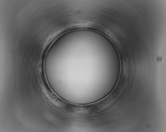 X0000113360486200909221203