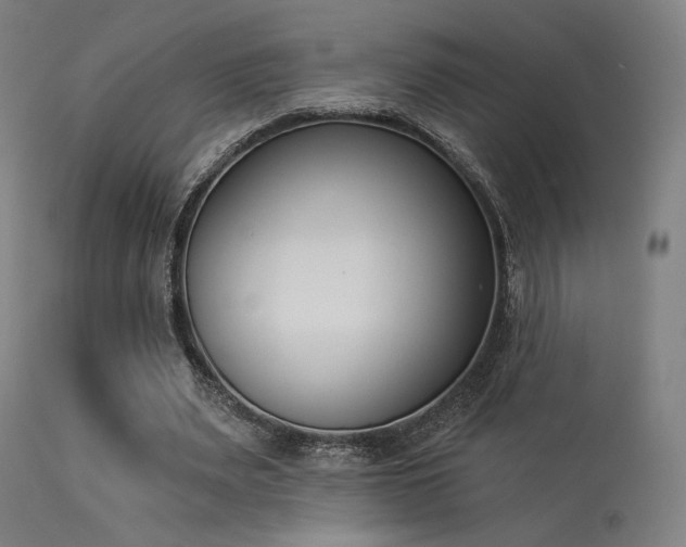 X0000113360487200909221203