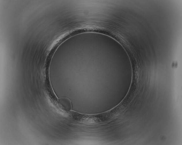 X0000113360488200909221203
