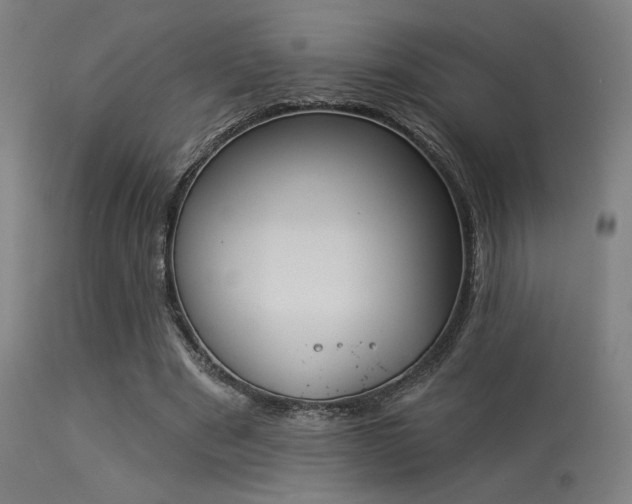 X0000113360489200909221203