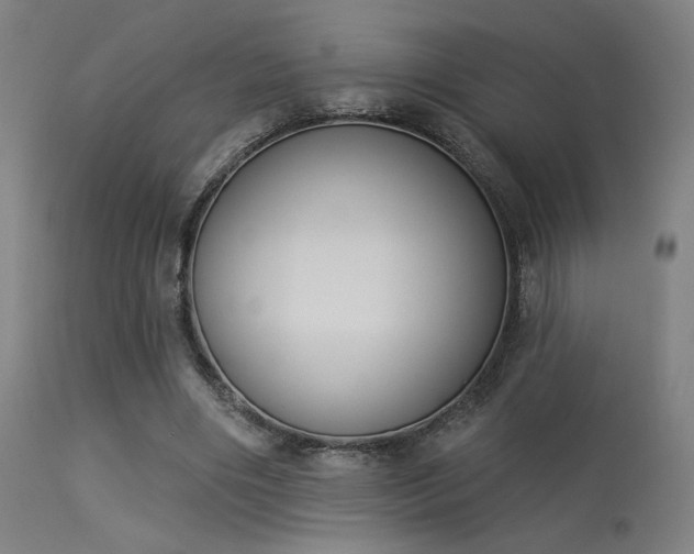 X0000113360490200909221203