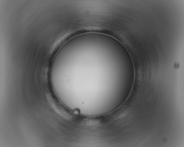 X0000113360491200909221203