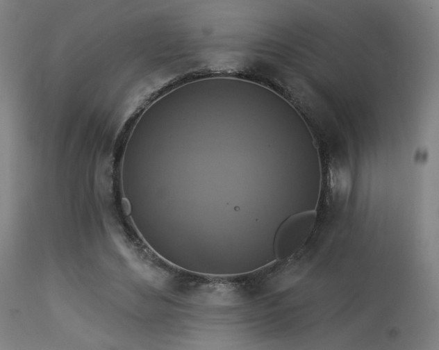 X0000113360492200909221203