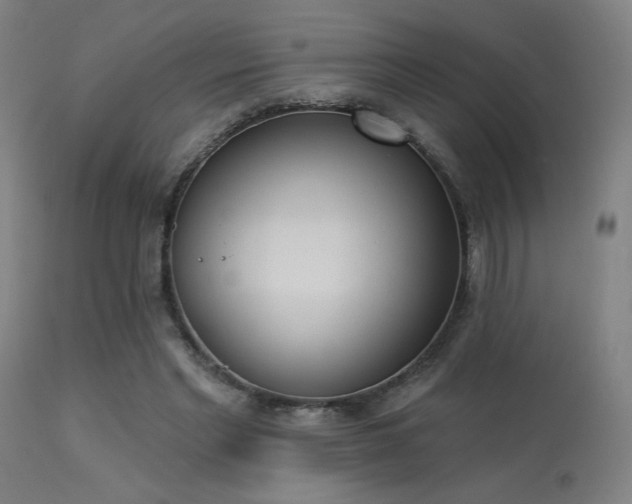 X0000113360493200909221203