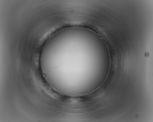 X0000113360495200909221203