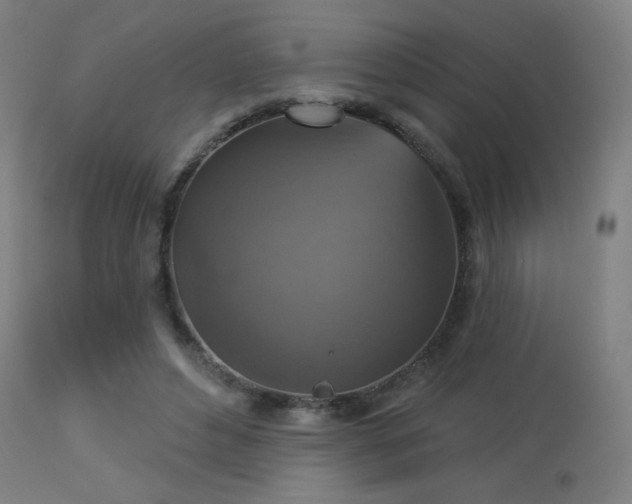 X0000113360496200909221203