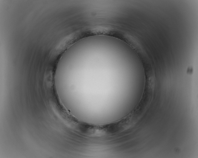 X0000113360498200909221203