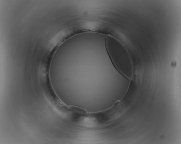 X0000113360500200909221203