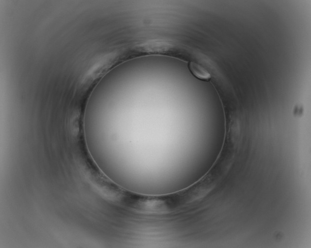 X0000113360501200909221203