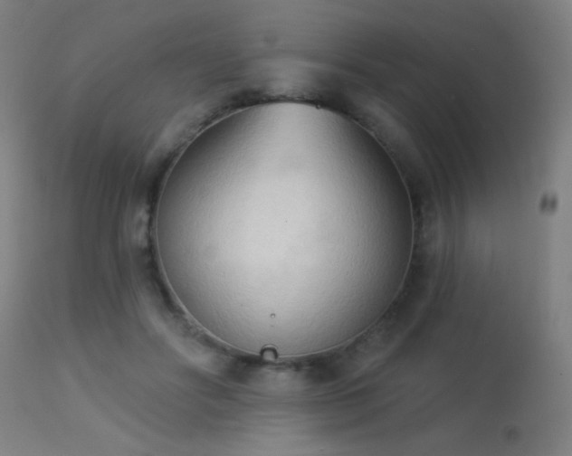 X0000113360502200909221203